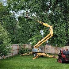 Best Artificial Turf Installation  in Chelsea Cove, NY
