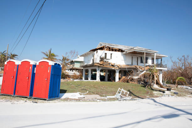 Best Hazardous Tree Removal  in Chelsea Cove, NY